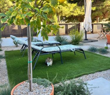 San Pedro del Pinatar Apartment | Apartment Lemon Tree
