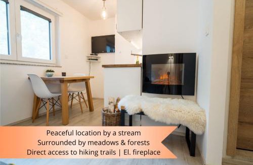 Kranjska Gora Apartment | Apartment Loyd, Kranjska Gora - studio