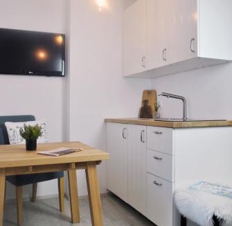 Kranjska Gora Apartment | Apartment Loyd, Kranjska Gora - studio