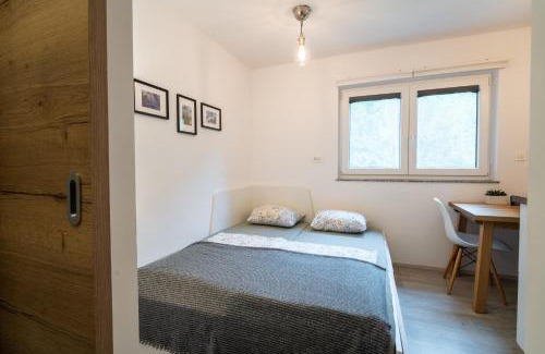 Kranjska Gora Apartment | Apartment Loyd, Kranjska Gora - studio