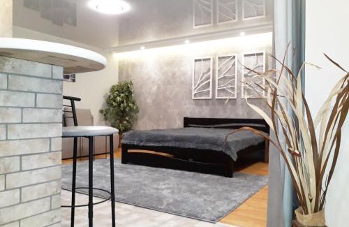 Krivoy Rog Apartment | Apartment - Matusevycha Street 2-11
