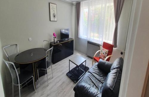 Soko Banja Apartment | Apartment Mint