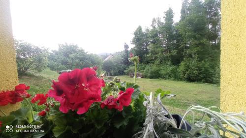 Fuzine Apartment | Apartment Mirela