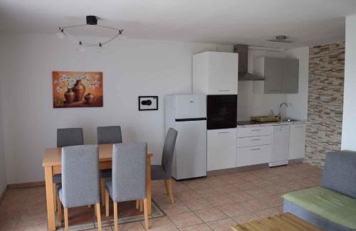 Novigrad Apartment | Apartment Novigrad 1