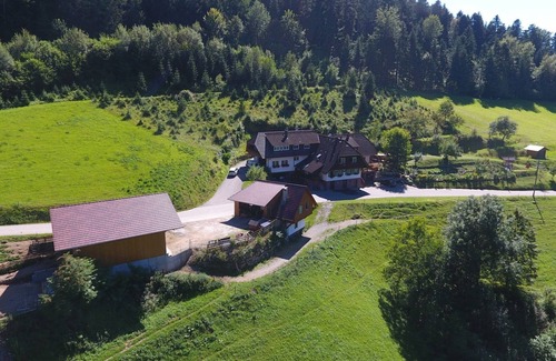 Zell am Harmersbach Other | Apartment on a vacation farm