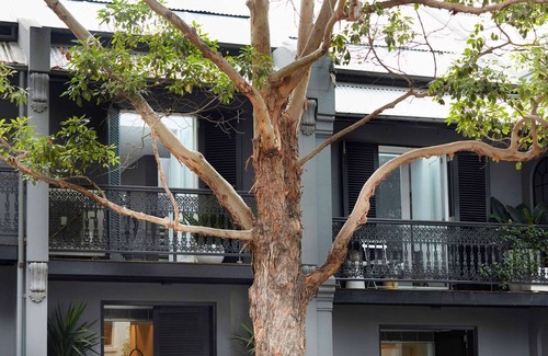 Darlinghurst Apartment | Apartment One by Contemporary Hotels is the quintessential glamorous Darlinghurst apartment for thos