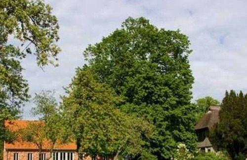 Bodstedt Apartment | Apartment "Pear Garden" - brick barn Starkow Barth