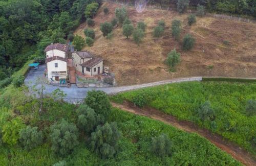 Pescia Apartment | Apartment Podere Sondino - Apt-I Cinghiali by Interhome