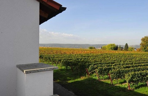 Dackenheim Apartment | Apartment "Riesling", sleeping alcove - Liebesbrunnen - Holiday home with 3 bedrooms