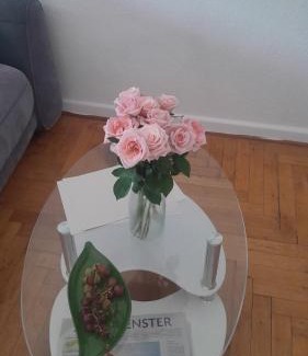 Kessenich Apartment | Apartment Rosenburg