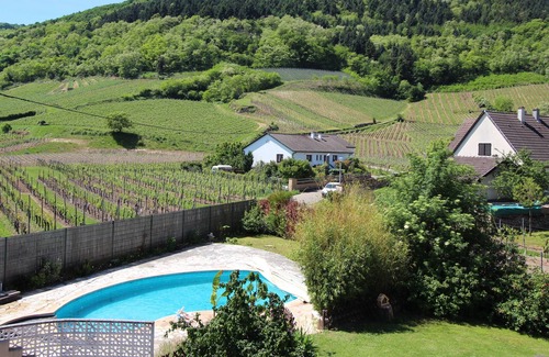 Wintzenheim Apartment | APARTMENT/spa WITH AMAZING VIEWS OF THE ALSACIAN VINEYARDS