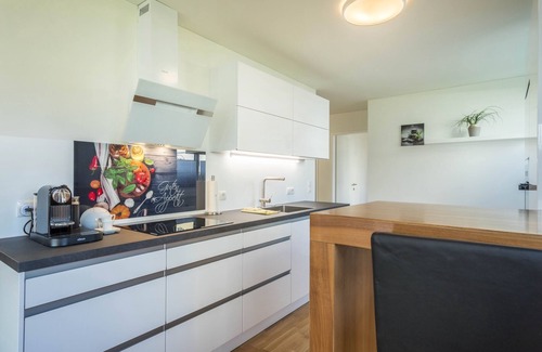 Bregenz Apartment | Apartment "Sunny" with Mountain View, Wi-Fi & Private Terrace
