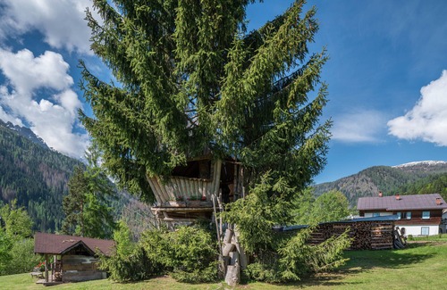 Pie Falcade Apartment | Apartment 'Tana Del Picchio Rosso' with Mountain View, Shared Garden and Wi-Fi