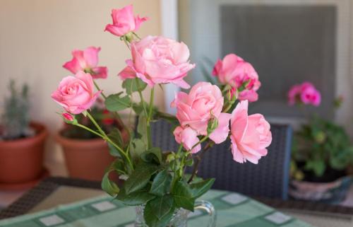 Dubrovnik Apartment | Apartment Timea