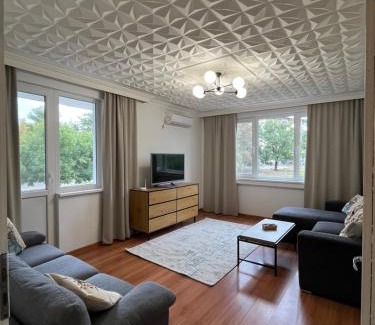 Vidin Apartment | Apartment Tzankov