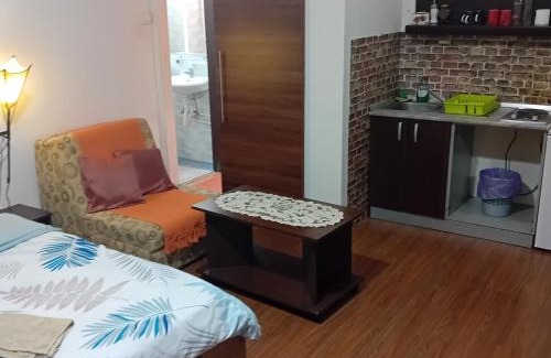 Sabac Apartment | Apartment Viktor stan na dan