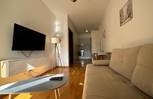 Maini Apartment | Apartment ViSi 101