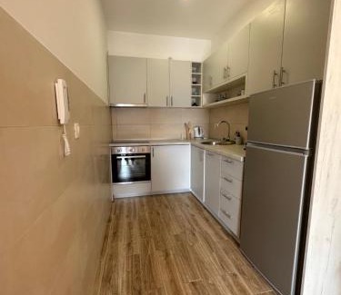 Maini Apartment | Apartment ViSi 101