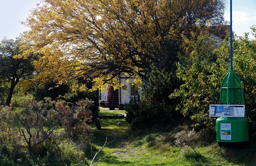 Hiddensee Apartment | Apartment with a large terrace