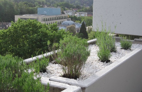 Baden-Baden Apartment | Apartment with large sun terrace and panoramic view near Festspielhaus