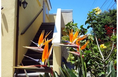 Westside Santa Cruz Apartment | Apartment with ocean views