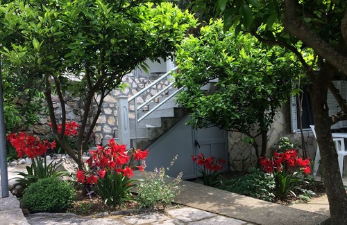 Kaluđerac Apartment | Apartment with sea view and pool - Among the olives