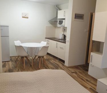 Portoroz Apartment | Apartment with terrace
