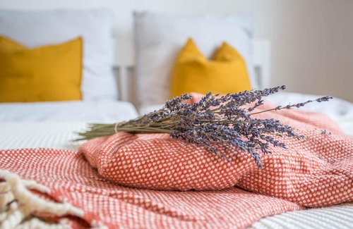 Center Apartment | Apartment 'Wohnung Im Herzen Der Stadt ' with Wi-Fi