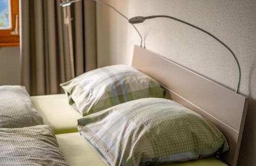 Riederalp Apartment | Apartment Zurschmitten 8 2- UG Süd by Interhome