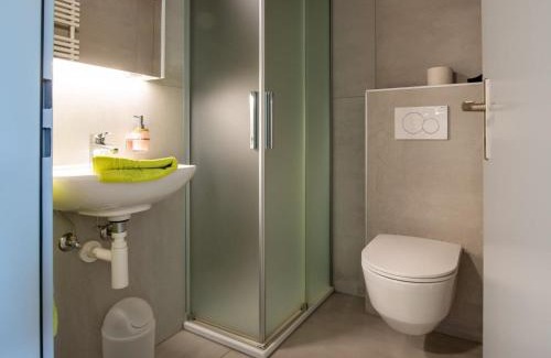 Riederalp Apartment | Apartment Zurschmitten 8 2- UG Süd by Interhome