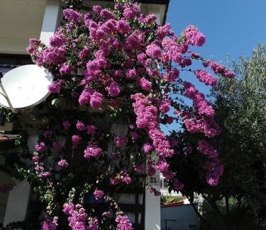 Novigrad Apartment | Apartments Anić