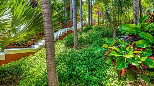 North End Hotel | Apartments at Pajaro de fuego Sayulita