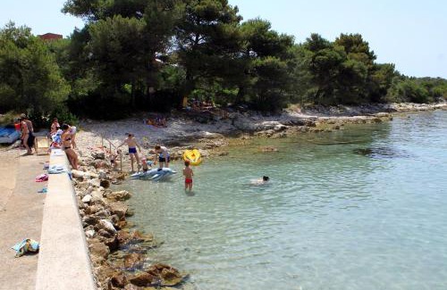 Ugljan Apartment | Apartments by the sea Guduce, Ugljan - 13274