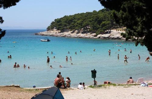 Susica Apartment | Apartments by the sea Murter - 5078