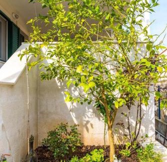 Rogac Apartment | Apartments by the sea Rogac, Solta - 11220