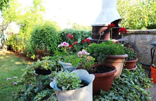 Vinkuran Apartment | Apartments Cavae Romanae