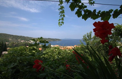 Lopud Island Apartment | Apartments Cervelin - Studio Apartment with Sea View