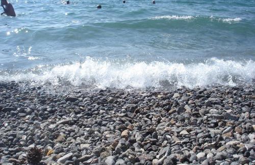 Starigrad Apartment | Apartments CICO Starigrad Paklenica