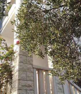 Ratac Apartment | Apartments Ella