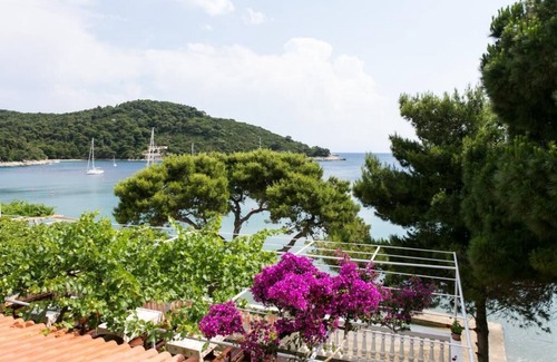 Saplunara Apartment | Apartments Franka Saplunara-One-Bedroom Apartment with Terrace and Sea View No 3