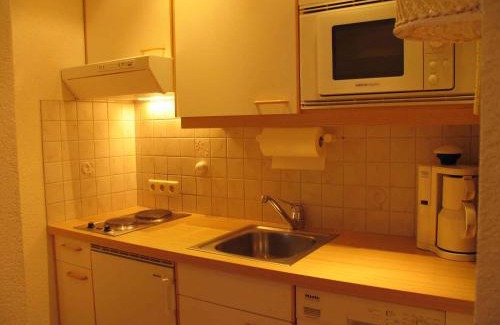 Dienten am Hochkoenig Apartment | Apartments in Dienten am Hochkönig 225