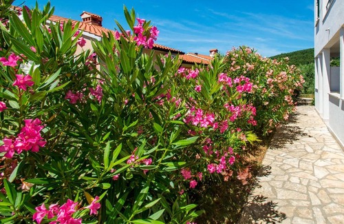 Rabac Apartment | Apartments Iris