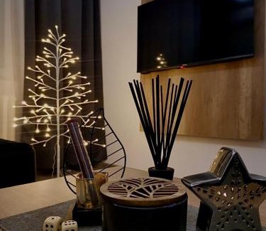 Novi Sad Apartment | Apartments Isidora