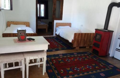 Virak Apartment | Apartments Javorje Zabljak