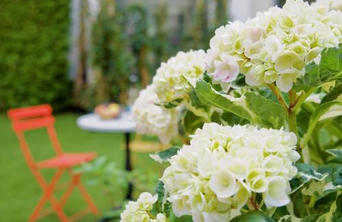 Hoheluft-West Apartment | Apartments Les Jardins