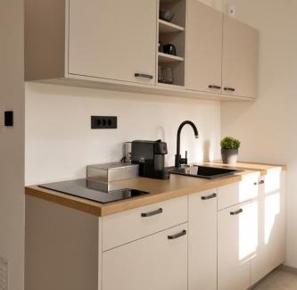 Ljubljana City Centre Apartment | Apartments Napoleon