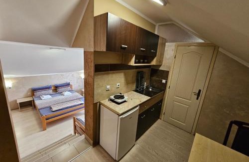 Soko Banja Apartment | Apartments Nikolić