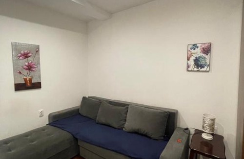 Savamala House | Apartments & Rooms Left River
