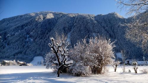 Mayrhofen Apartment | Apartments Rosenhof