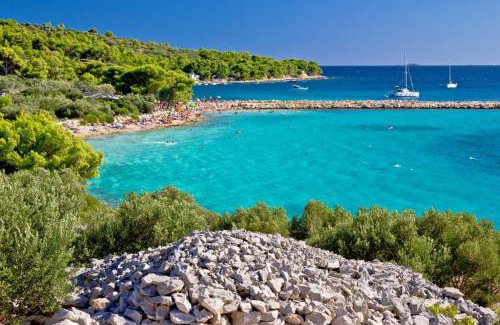 Murter Apartment | Apartments Sonja Murter Croatia